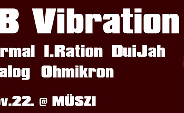 11.23. DUB Vibration # 2