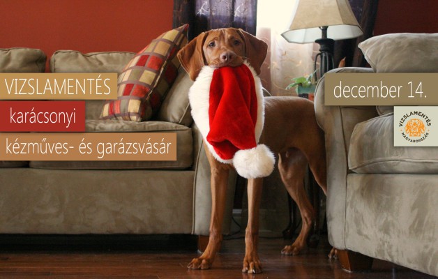 Hungarian pointer dog rescue- Christmas sale